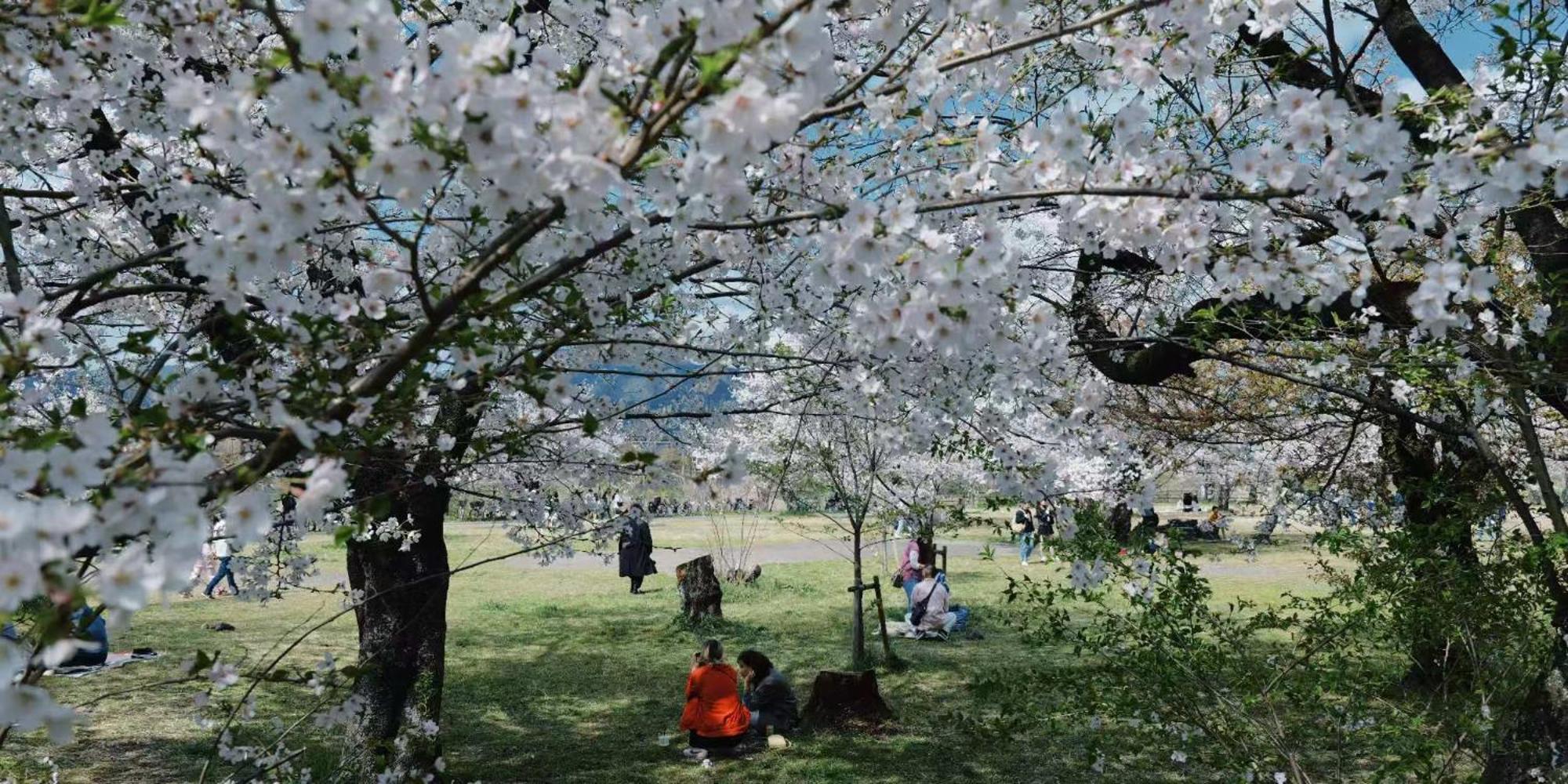 Vila - 森麟社 - 新築戸建 Moririnsha Japanese Style Kjóto Exteriér fotografie